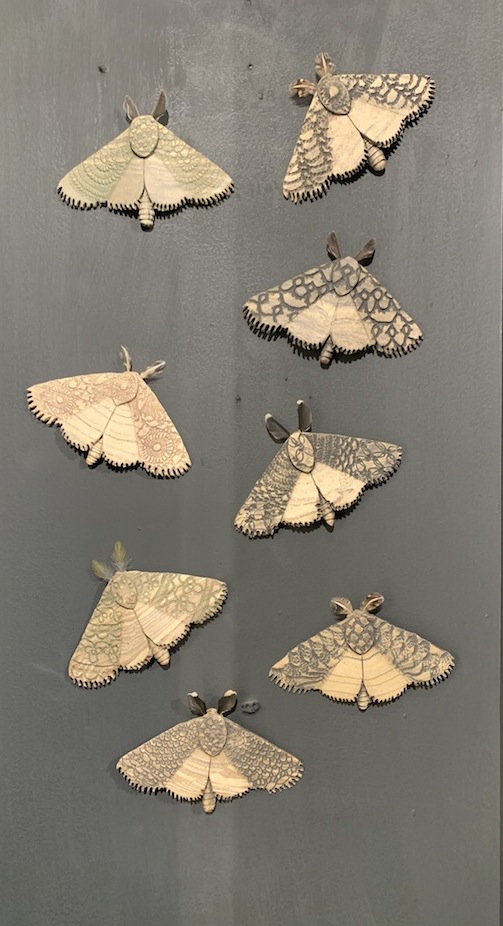 Jenny Wilson | Moths |McAtamney Gallery and Design Store | Geraldine  NZ